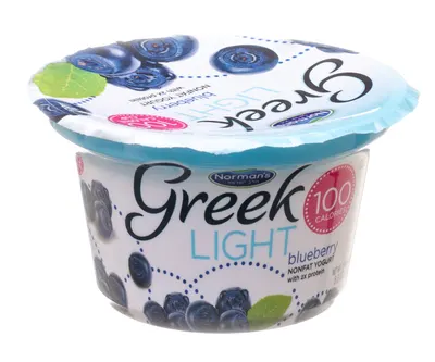 Non Fat Light Greek Blueberry Yogurt