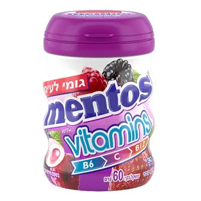 Sugar Free Vitamin Gum Berries