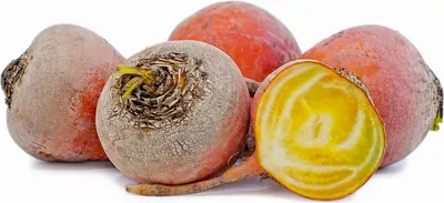 Beets Golden Yellow