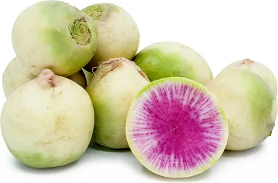 Watermelon Radish