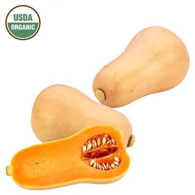 Squash Butternut Organic
