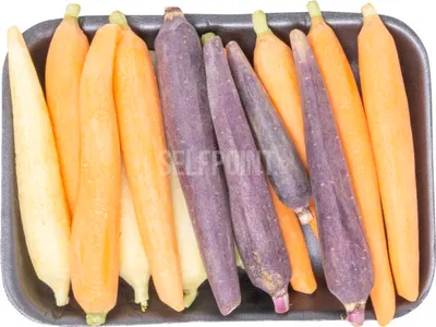 Baby Rainbow Carrots