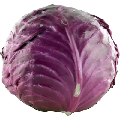 Organic Red Cabbage