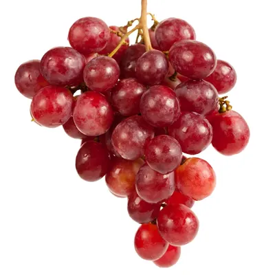 Red Seedless Krissy Grapes