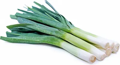 Leek