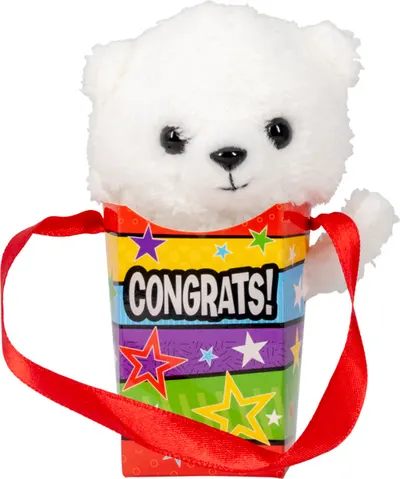 Congrats! Bear Bag