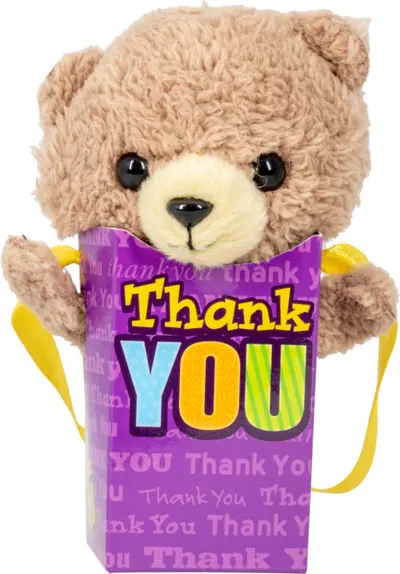 Thank You Bear Bag