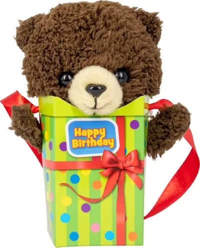 Happy Birthday Bear Bag