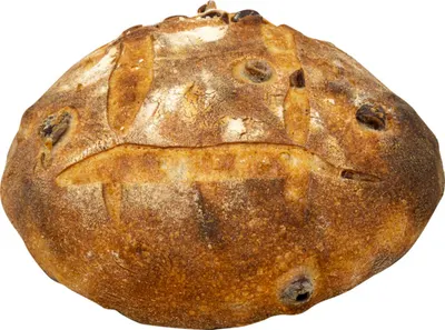 Sourdough Large Jalapeno