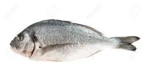 Dorado Whole