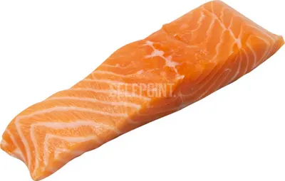 Salmon Fillet 3 Slices