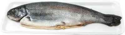 Whole Rainbow Trout