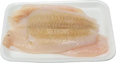 Flounder Fillet