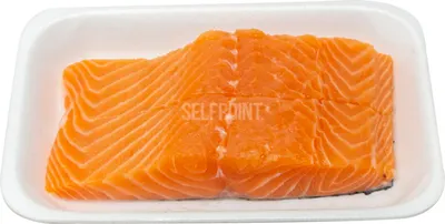 Salmon Fillet Skinless 2 Slices