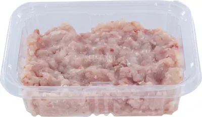 Ground White And Pike Fish