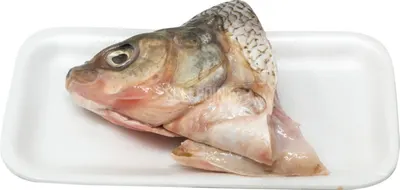 Fish Head - White - Frozen