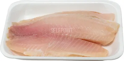 Tilapia Fillet