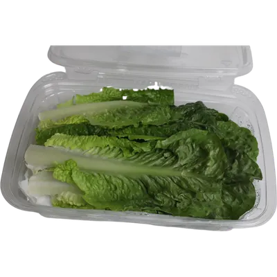 Romaine Lettuce Washed & Checked