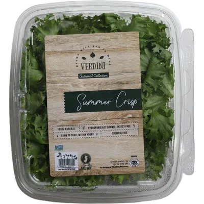 Summer Crisp Lettuce