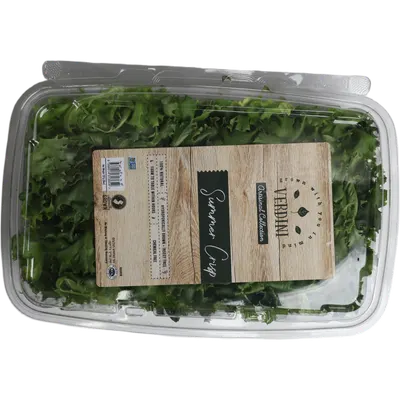 Summer Crisp Lettuce