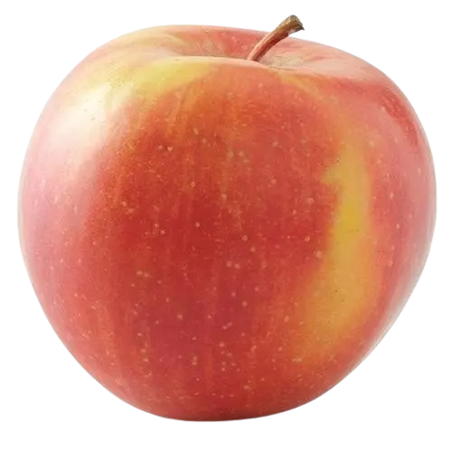 Fuji Apples