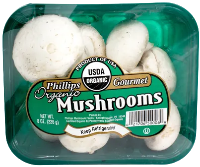 Mushroom White Cello