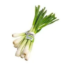 SCALLION ORGANIC IN BUNCH