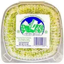 Alfalfa Sprouts