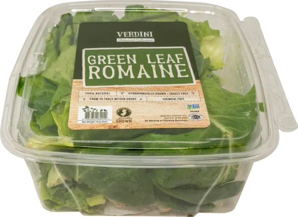 Green Leaf Romaine