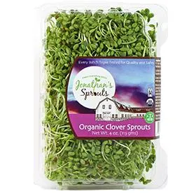 Organic Clover Sprouts