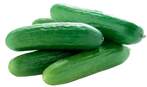 Mini Cucumbers