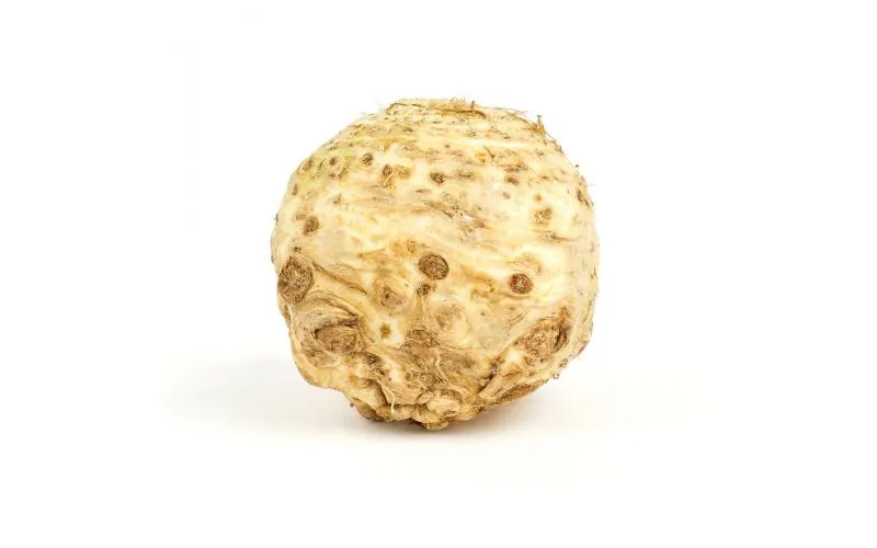 Celery Knob