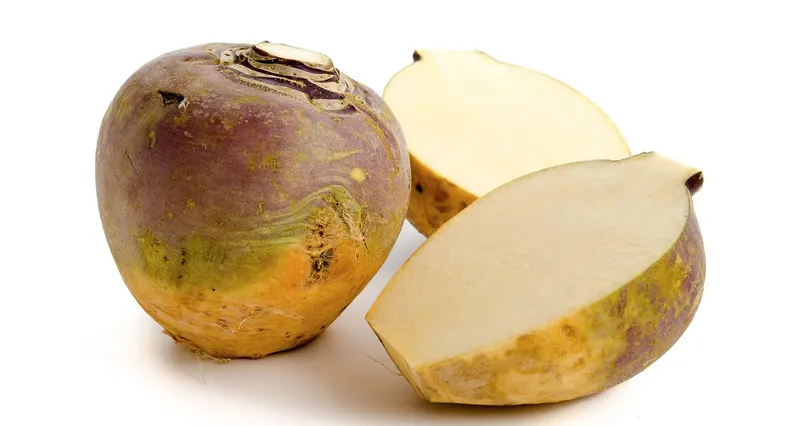 Rutabaga Wax Turnip