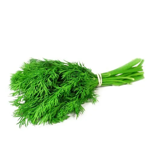 Dill