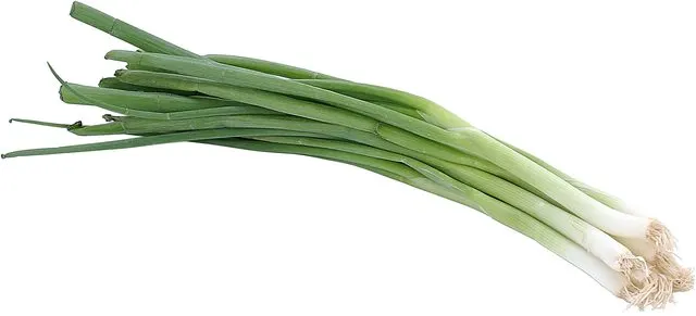 Scallions