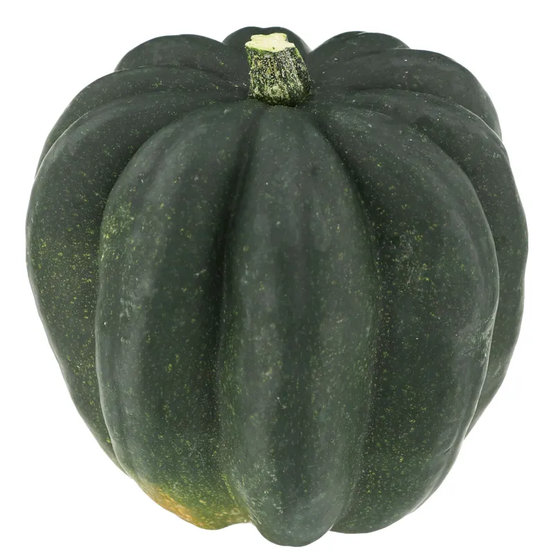 Acorn Squash