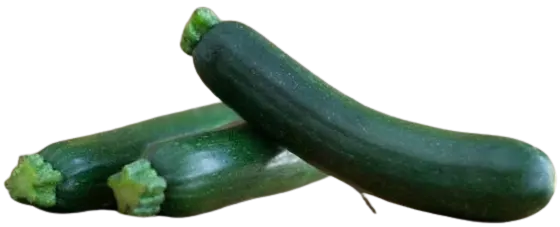 Squash Green Small