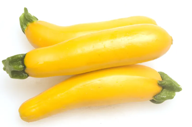 Yellow Squash