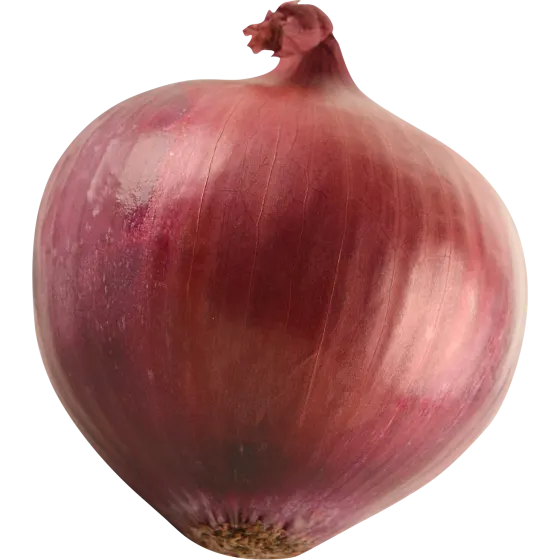 Red Onion
