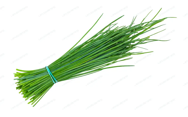 Fresh Chives