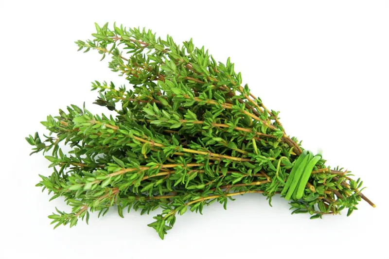 Fresh Thyme