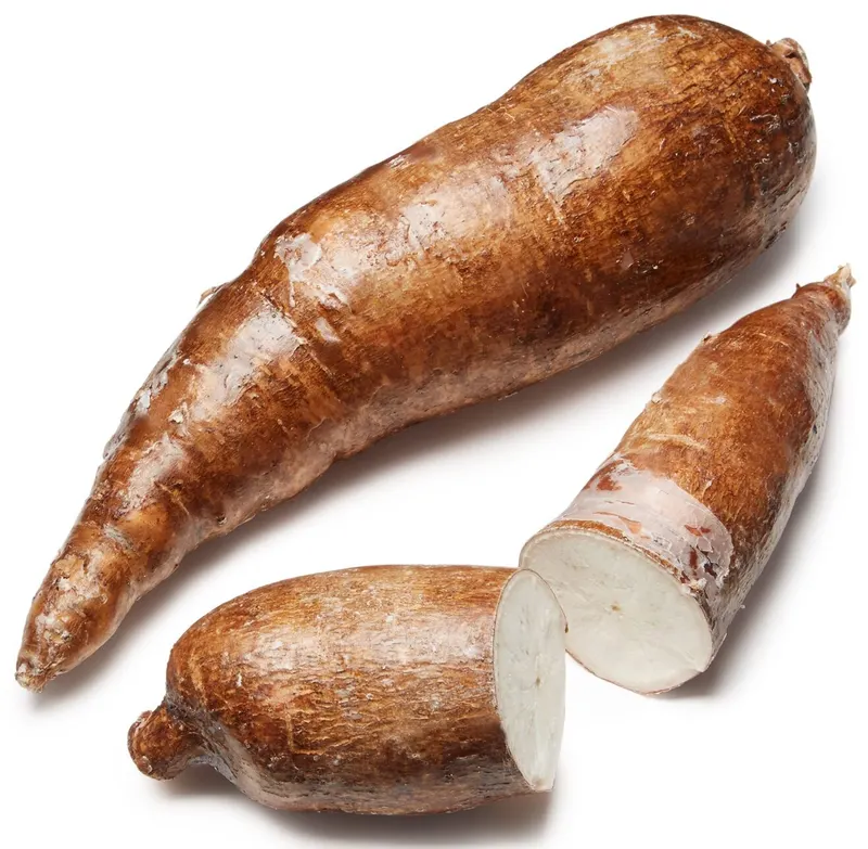 Yuca Cassava