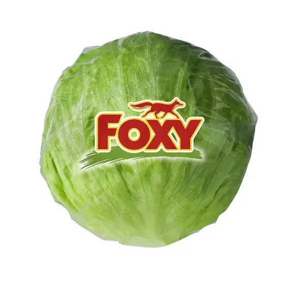 Iceberg Lettuce