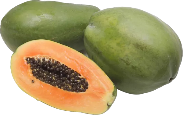 Large Papaya