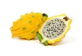 Cactus Dragon Fruit Gold