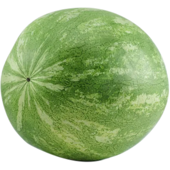 Whole Large Watermelon