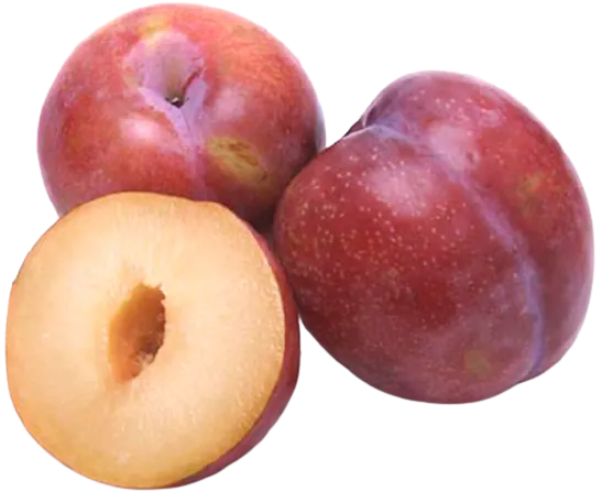 Red Plum Mixed Flesh