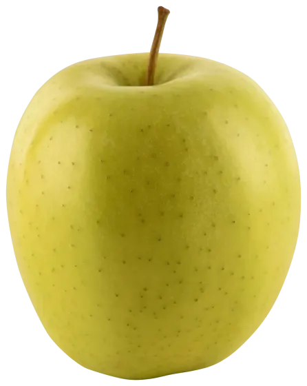 Golden Delicious Apple