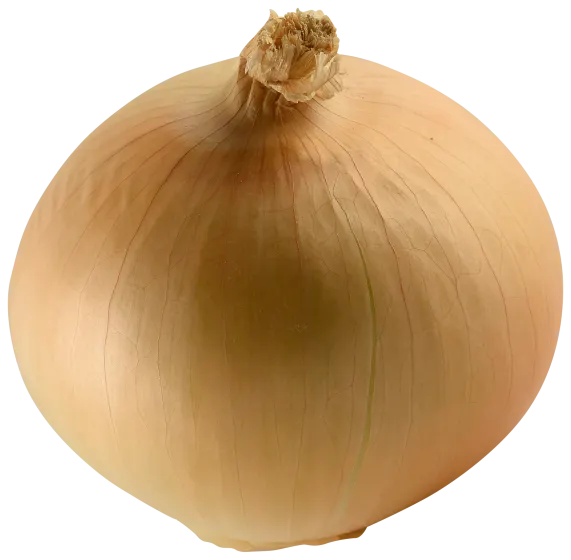 Onion Sweet Vidalia