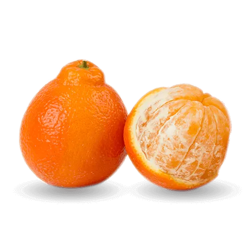 Tangelo Minneola